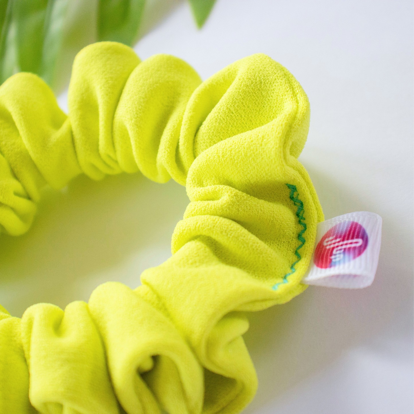 Zesty (neon citrus)