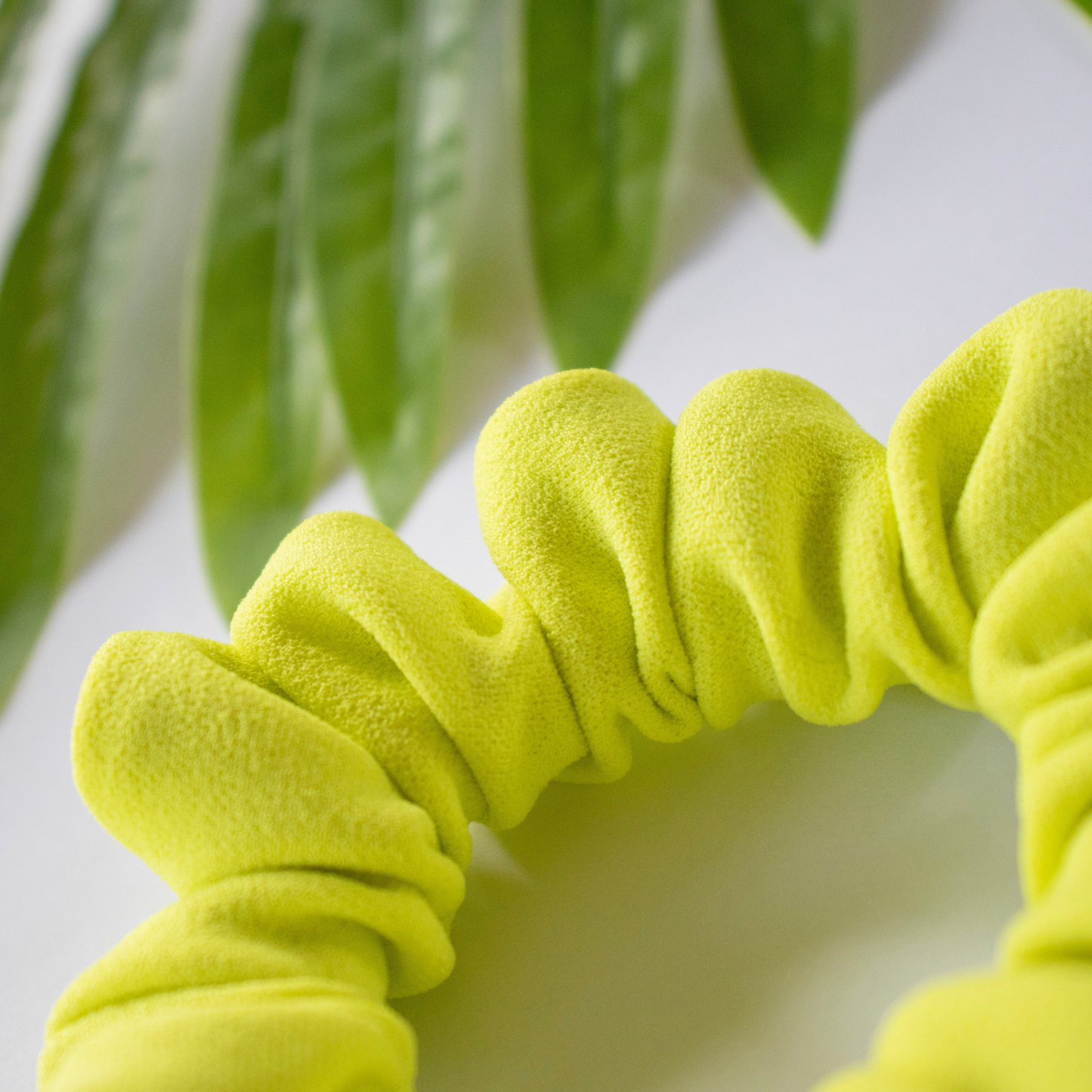 Zesty (neon citrus)